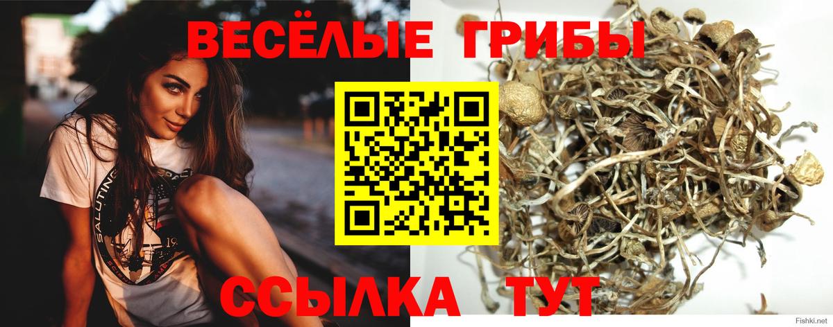 Псилоцибиновые грибы прущие грибы Ишимбай