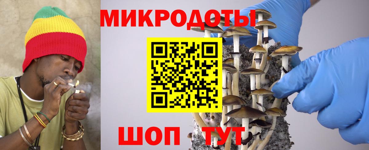 Галлюциногенные грибы Psilocybine cubensis  Псилоцибиновые грибы Psilocybe  Ишимбай  Вход с VPN 